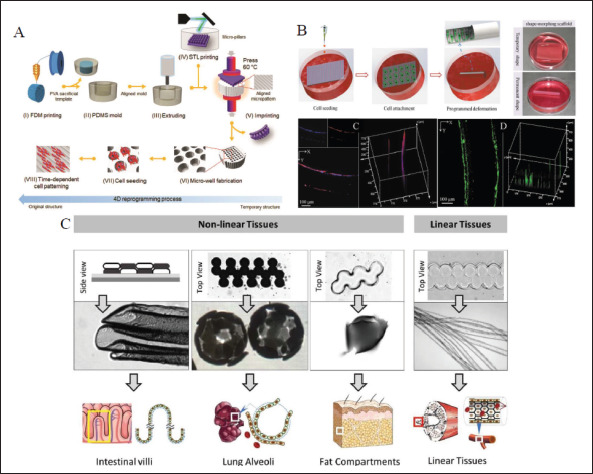 Figure 6.