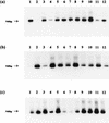 FIG. 6