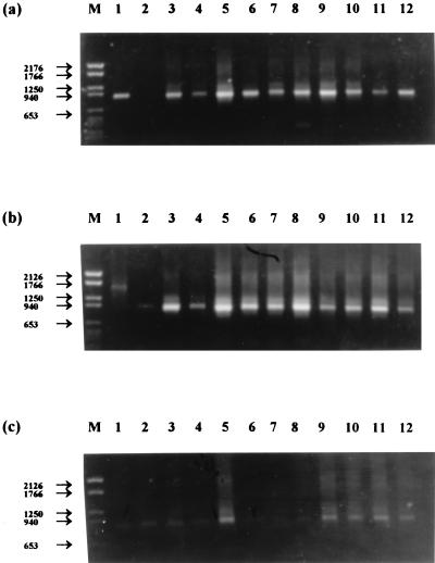 FIG. 5