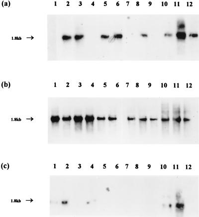 FIG. 8