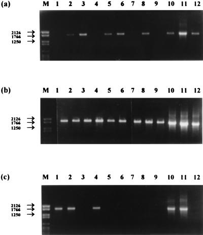 FIG. 7