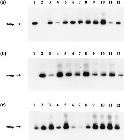 FIG. 6