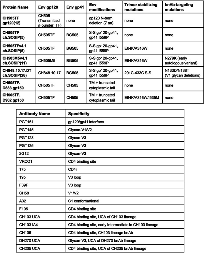 graphic file with name JVI.00958-20-t0001.jpg