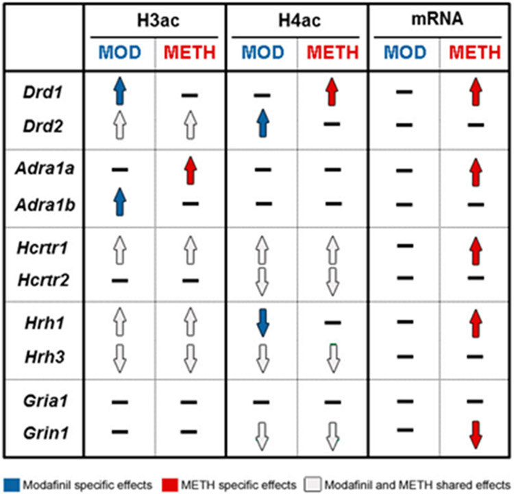 Figure 7: