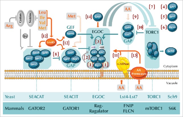 Figure 1.