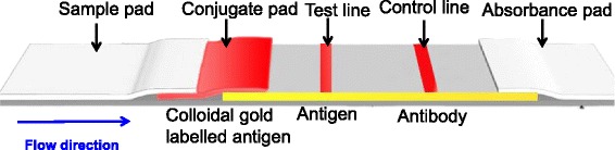 Fig. 2