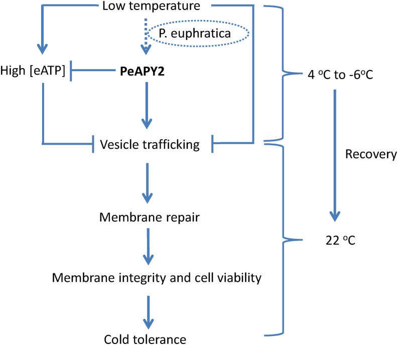 Figure 11.