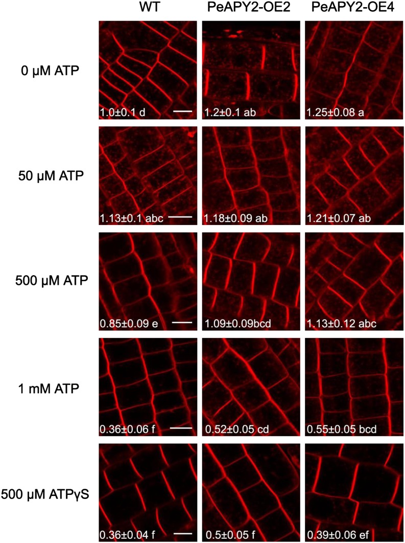 Figure 10.