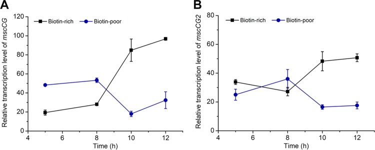 FIG 3