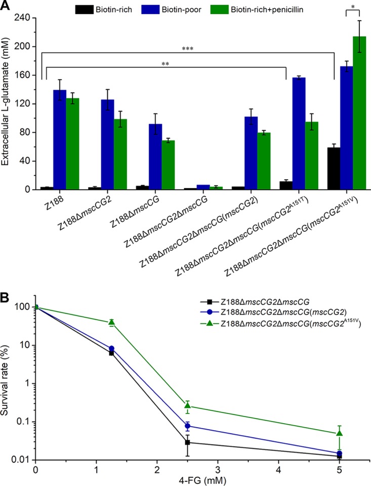 FIG 6