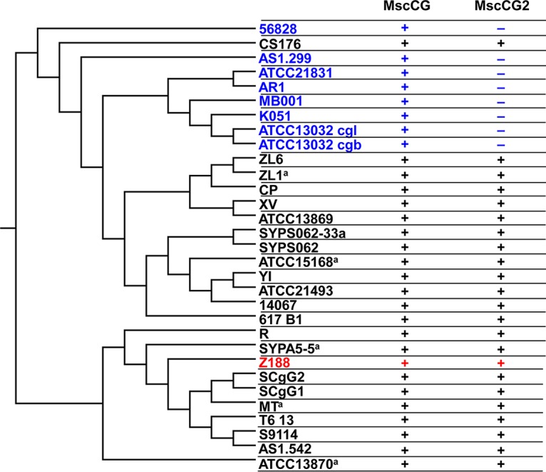 FIG 1