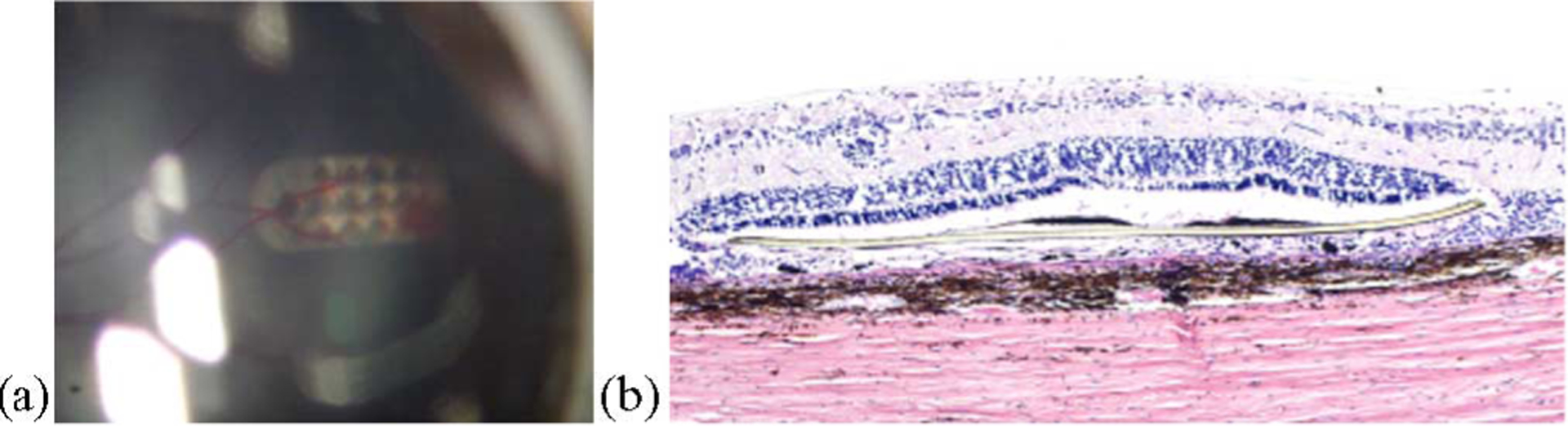 Fig. 8.