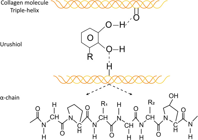 Figure 22