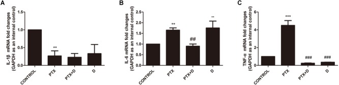 FIGURE 11