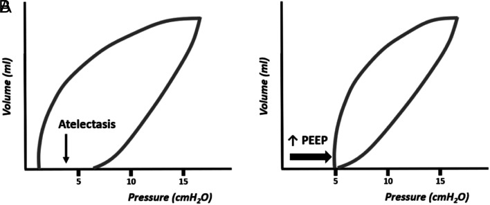 Figure 13.