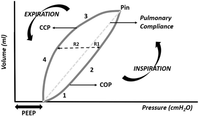 Figure 11.