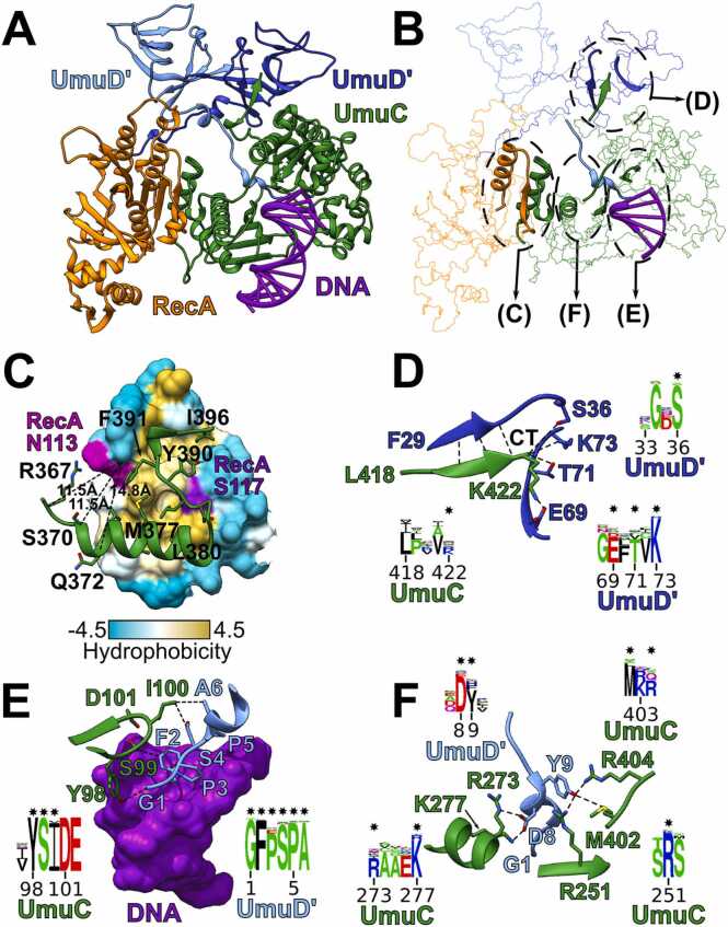 Fig. 7