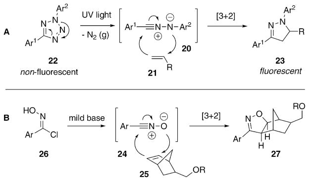 Scheme 4