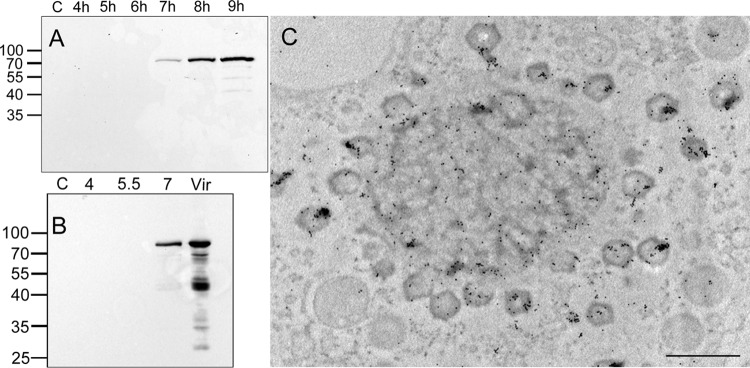 FIG 2