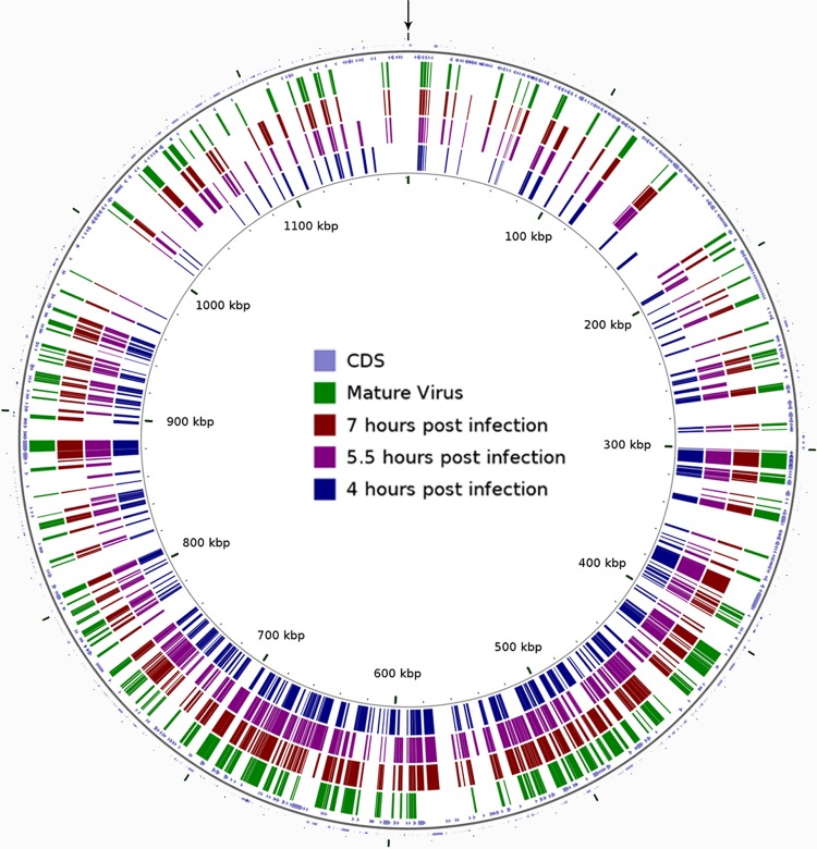 FIG 6