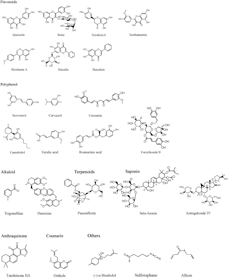 FIGURE 1