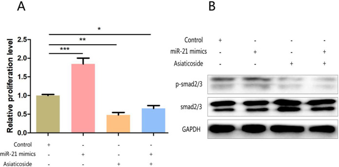 Fig. 5: