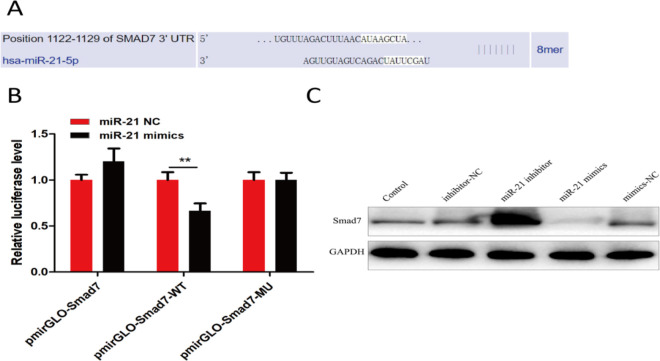 Fig. 4: