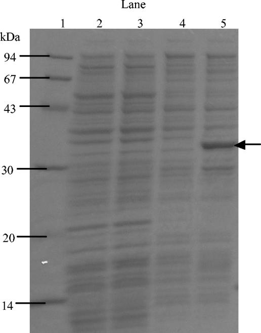 FIG. 4.