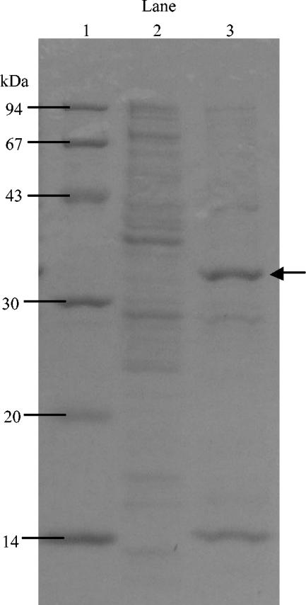 FIG. 5.