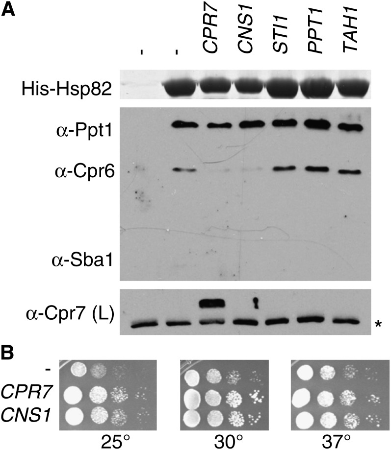 Figure 7 