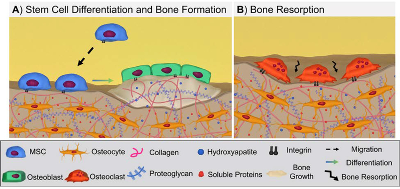 Figure 2: