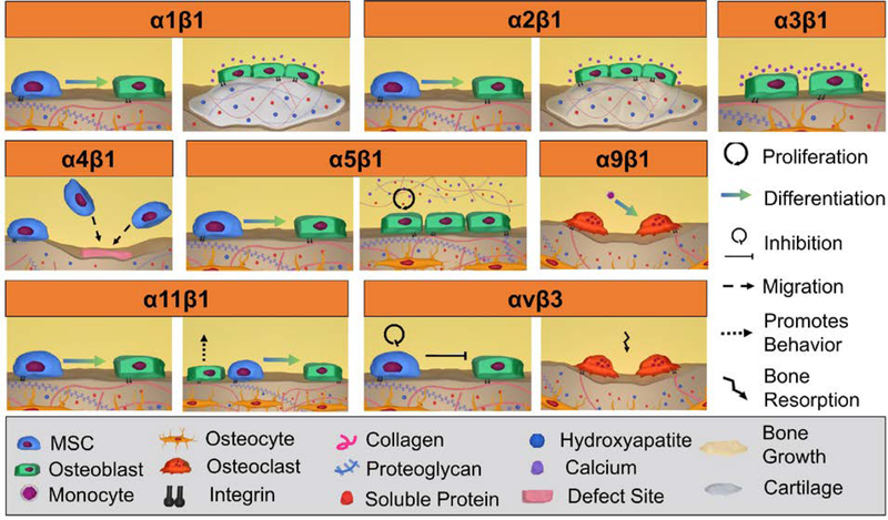 Figure 3: