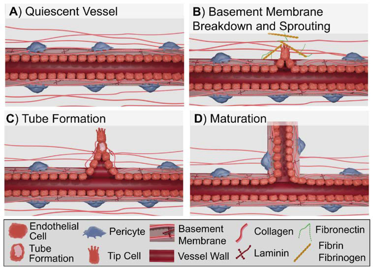 Figure 6: