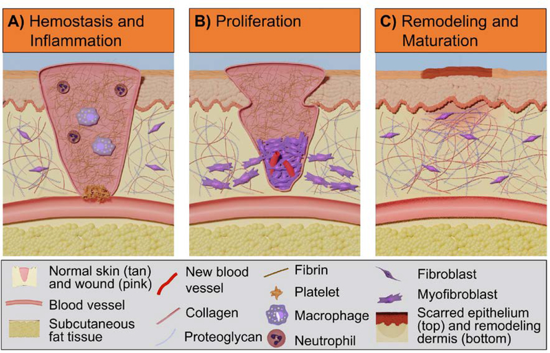 Figure 4: