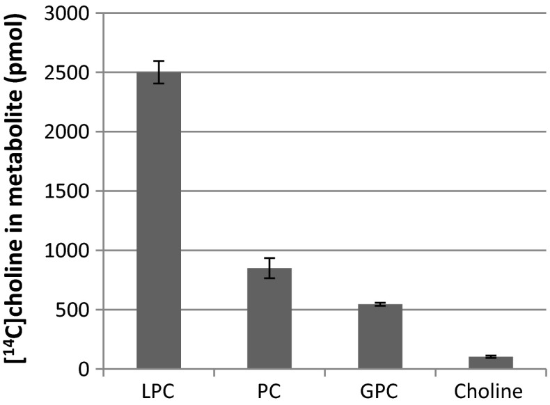 Fig. 6