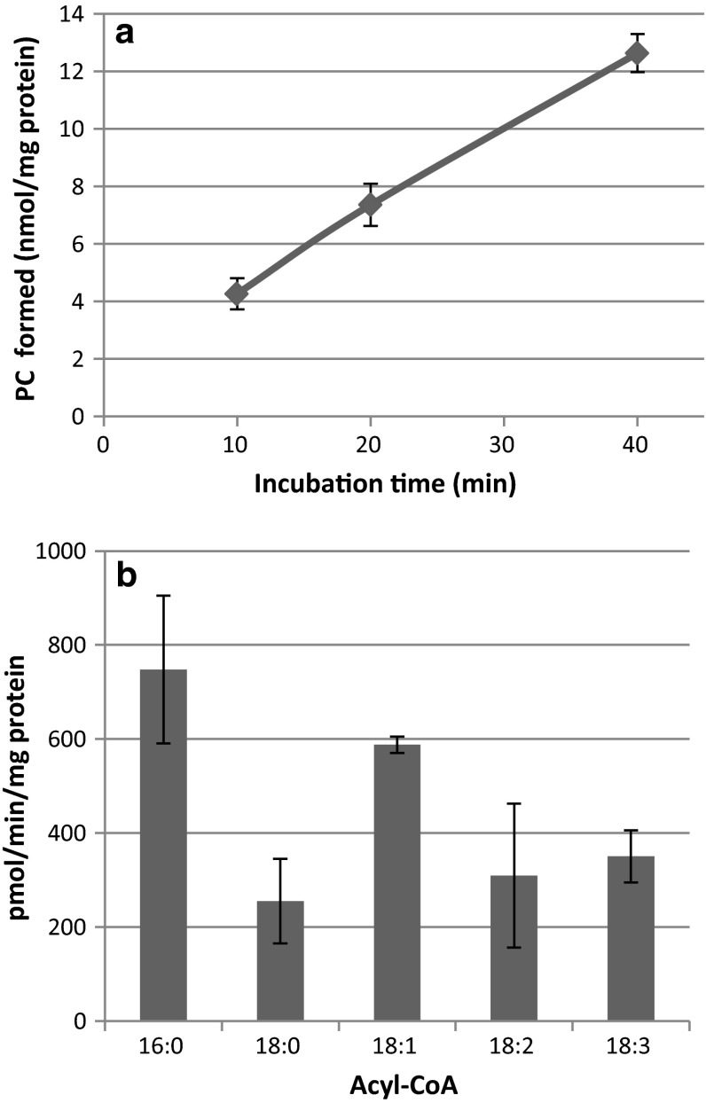 Fig. 4