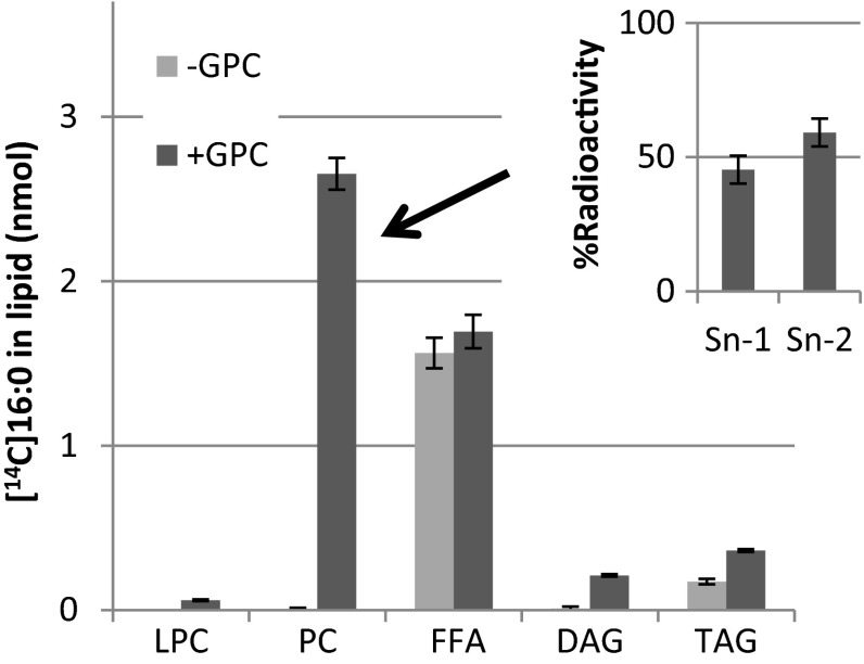 Fig. 3