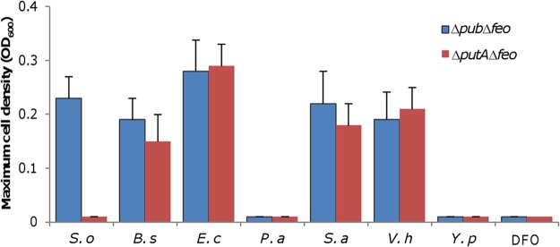 FIG 5