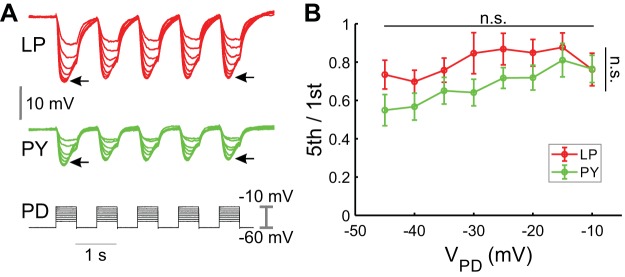 Fig. 5.