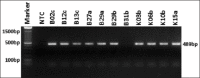 Figure-3: