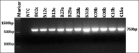 Figure-2: