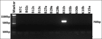 Figure-1:
