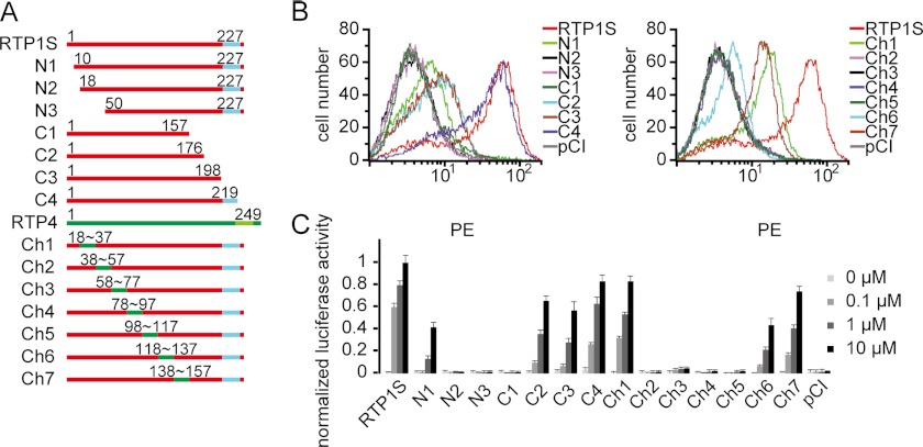 FIGURE 1.