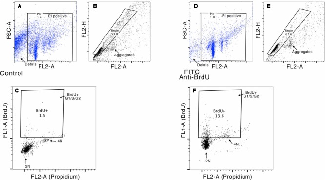 FIGURE 4