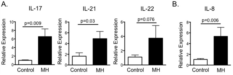 Fig 6