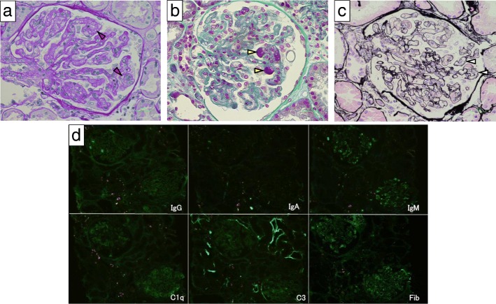 Fig. 2