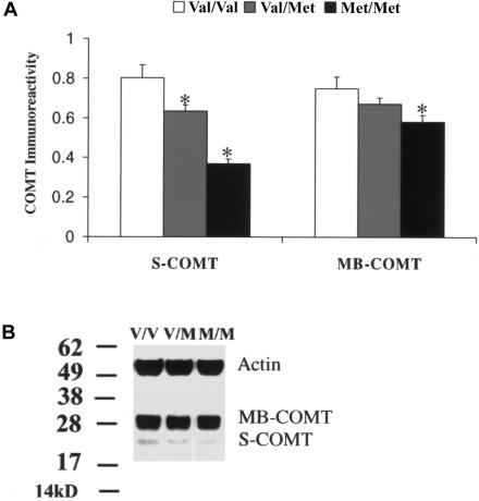 Figure  1