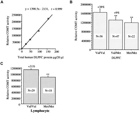 Figure  2