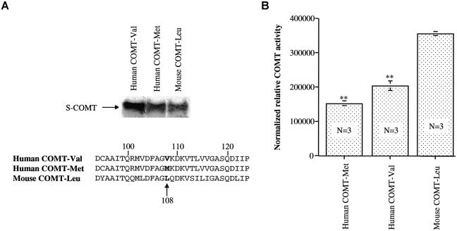 Figure  5