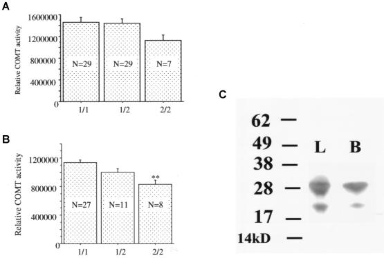 Figure  7